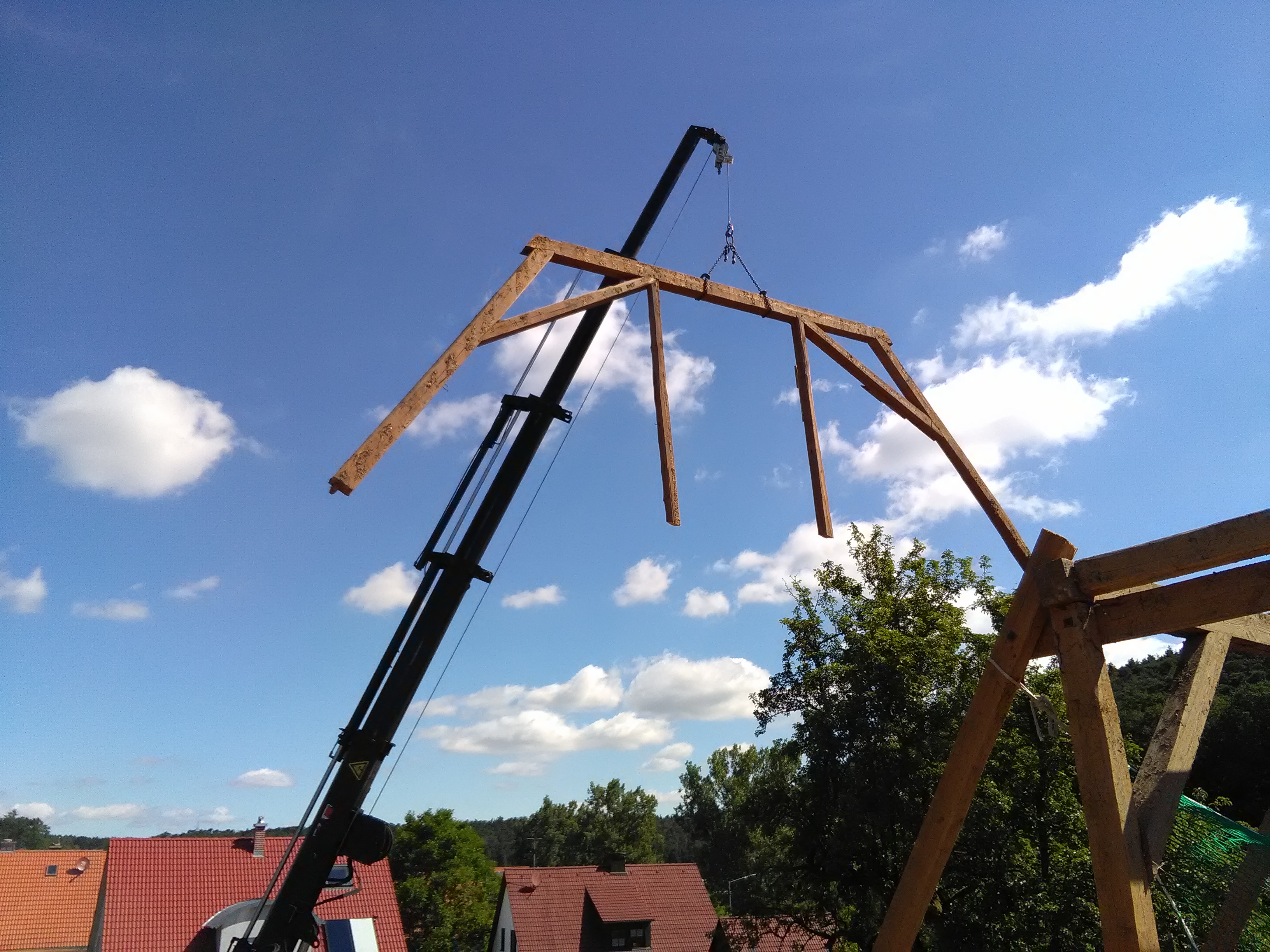 catbilder 28.08.16 711