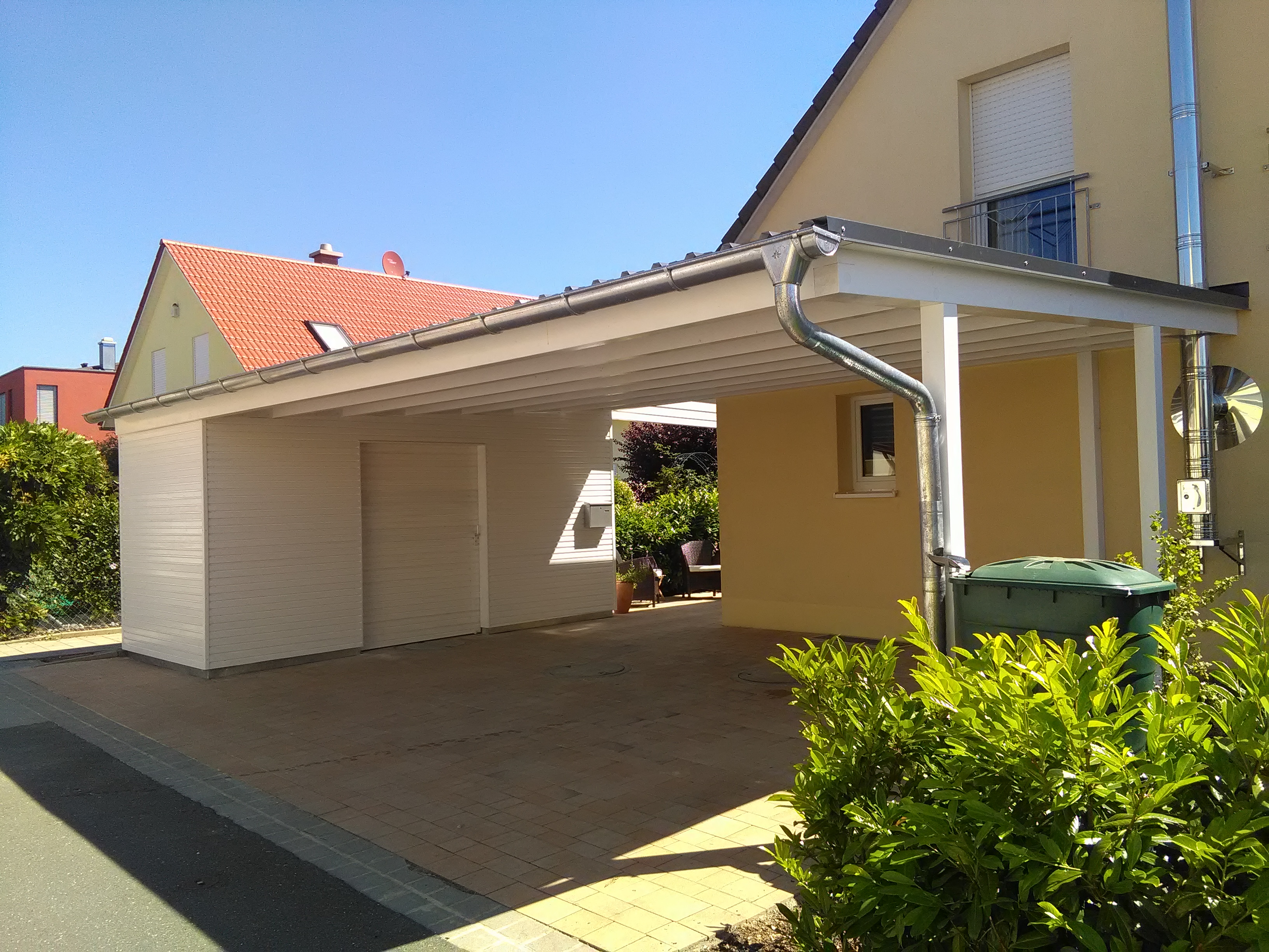 catbilder 28.08.16 648