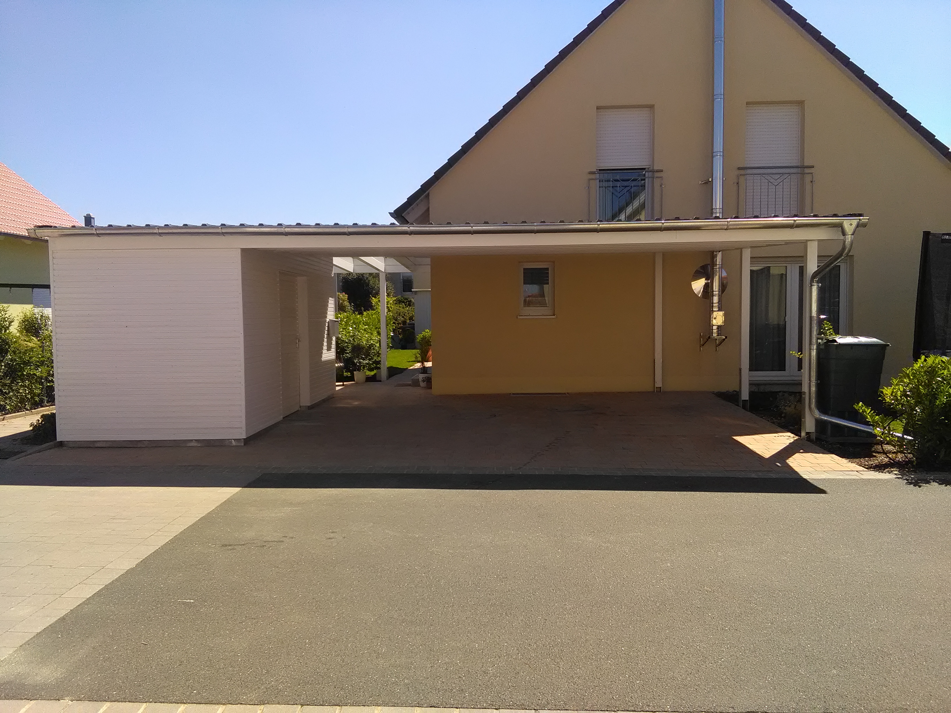 catbilder 28.08.16 649